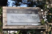 DSC_1020-20101211-512
