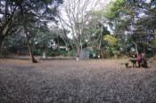 DSC_1027-20101211-512