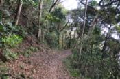 DSC_1028-20101211-512