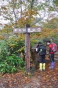 DSC_1423-20101010-512