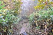DSC_1426-20101010-512