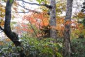 DSC_1429-20101010-512