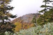 DSC_1439-20101010-512