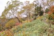 DSC_1441-20101010-512