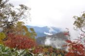 DSC_1443-20101010-512