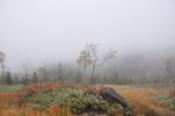 DSC_1449-20101010-512