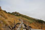 DSC_1460-20101010-512