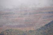 DSC_1485-20101010-512