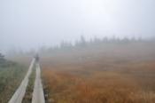 DSC_1489-20101010-512