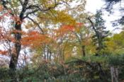 DSC_1501-20101010-512