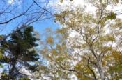 DSC_1502-20101010-512
