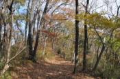 DSC_0310-20101217-512