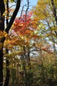 DSC_0316-20101217-512