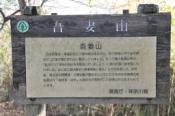 DSC_0318-20101217-512