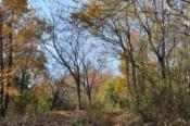 DSC_0323-20101217-512