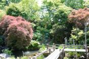 DSC_0440-20130506-512