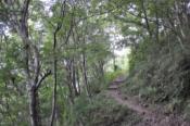 DSC_0919-20100919-512