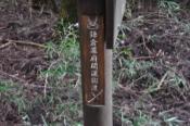 DSC_0949-20100919-512