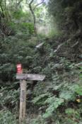 DSC_0954-20100919-512