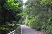 DSC_0956-20100919-512