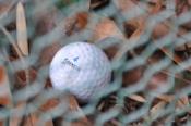 DSC_0968-20100919-512