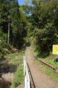 DSC_1684-20110429-512