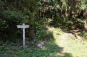 DSC_1689-20110429-512