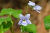 DSC_1693-20110429-512