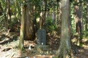DSC_1694-20110429-512