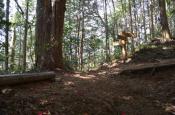 DSC_1698-20110429-512
