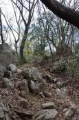 DSC_1726-20110429-512