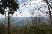 DSC_1729-20110429-512