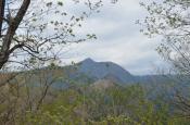 DSC_1738-20110429-512