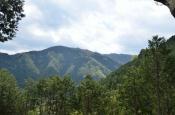 DSC_1774-20110429-512