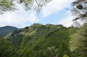 DSC_1775-20110429-512