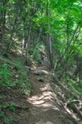 DSC_0264-20100612-512