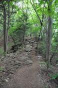 DSC_0274-20100612-512