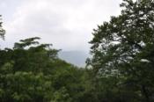 DSC_0280-20100612-512