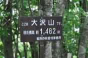 DSC_0315-20100612-512