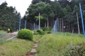 DSC_0333-20100612-512
