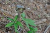 DSC_0042-20100509-512