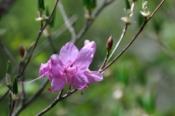 DSC_0082-20100509-512