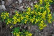 DSC_0090-20100509-512