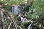 DSC_0100-20100509-512