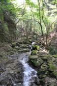 DSC_0102-20100509-512