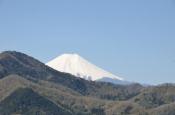 DSC_1518-20110424-512