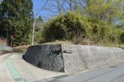 DSC_1527-20110424-512