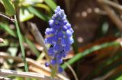 DSC_1530-20110424-512