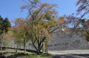 DSC_1537-20110424-512