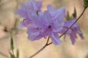 DSC_1558-20110424-512